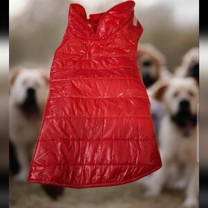 Red Puffer Dog Coat W/hat..